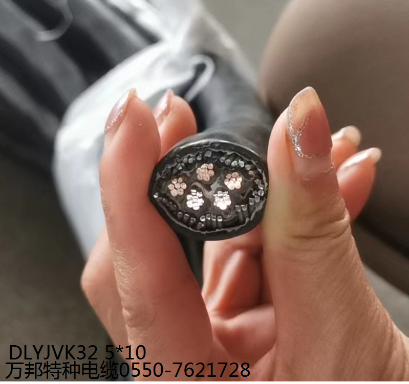SERVO FD796 CP 4G2.5mm2/2*2*1M